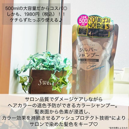 Tottimo! カラーシャンプー/アイケイ/市販シャンプーを使ったクチコミ(2枚目)