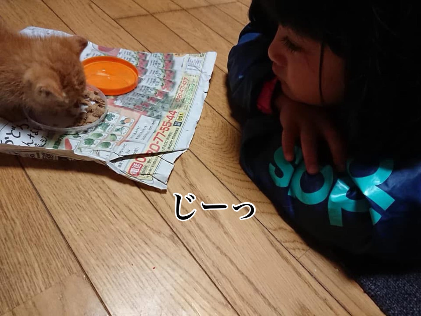 ðââ¬ã«ãããðŸ on LIPS ã仿¥ã®ã«ããããäž»ã«ãããä¿è·ãã5幎åã®åçãèŒããŸãããç..ãïŒ3æç®ïŒ