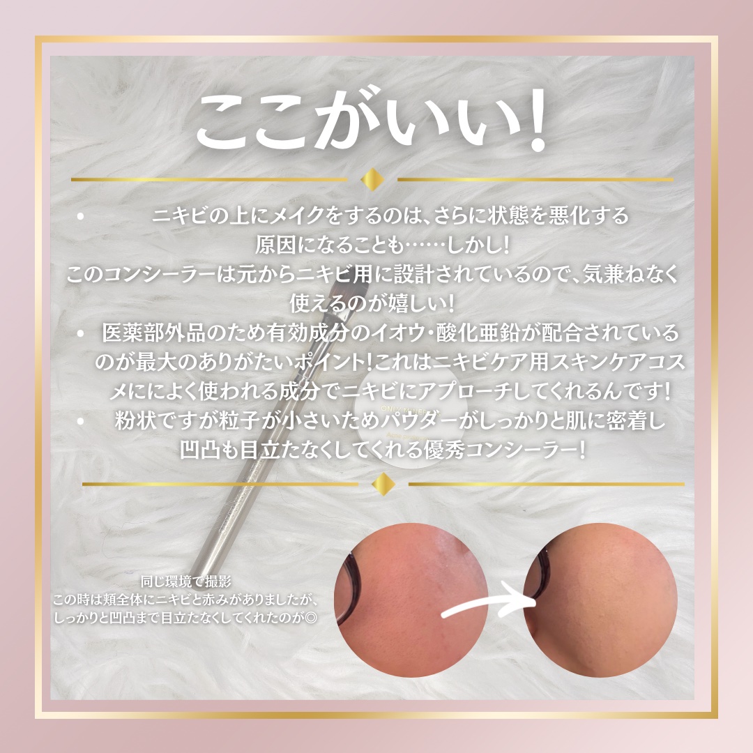 薬用コンシーラー アクネプロテクター/ONLY MINERALS/パウダーコンシーラーを使ったクチコミ（2枚目）