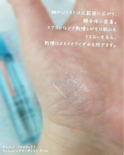 フィニッシングキープミスト クール/チャコット・コスメティクス/フィックスミストを使ったクチコミ(4枚目)