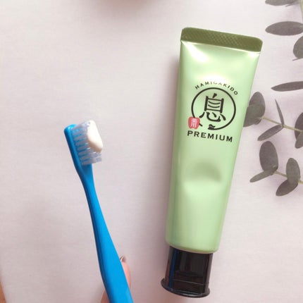 薬用フレッシュペースト【医薬部外品】/歯磨き堂/歯磨き粉を使ったクチコミ(5枚目)