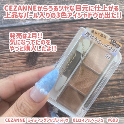 ライティングアップアイシャドウ/CEZANNE/アイシャドウを使ったクチコミ(2枚目)