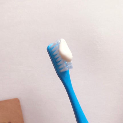 薬用フレッシュペースト【医薬部外品】/歯磨き堂/歯磨き粉を使ったクチコミ(6枚目)