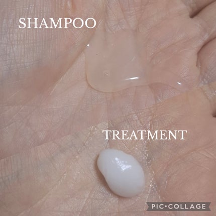 ミジャンセン サロン10 シャンプー/トリートメント エクストラダメージヘア用 トリートメント250ml/miseenscene/シャンプー・コンディショナーを使ったクチコミ(2枚目)