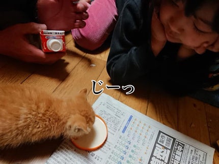 ðââ¬ã«ãããðŸ on LIPS ã仿¥ã®ã«ããããäž»ã«ãããä¿è·ãã5幎åã®åçãèŒããŸãããç..ãïŒ4æç®ïŒ