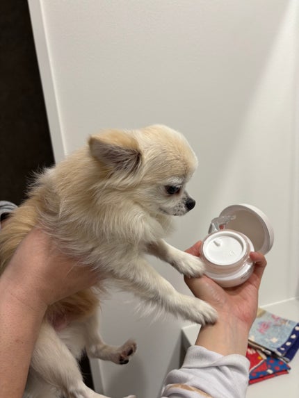 カプチュール トータル セル ENGY リッチ クリーム/Dior/フェイスクリームを使ったクチコミ(5枚目)