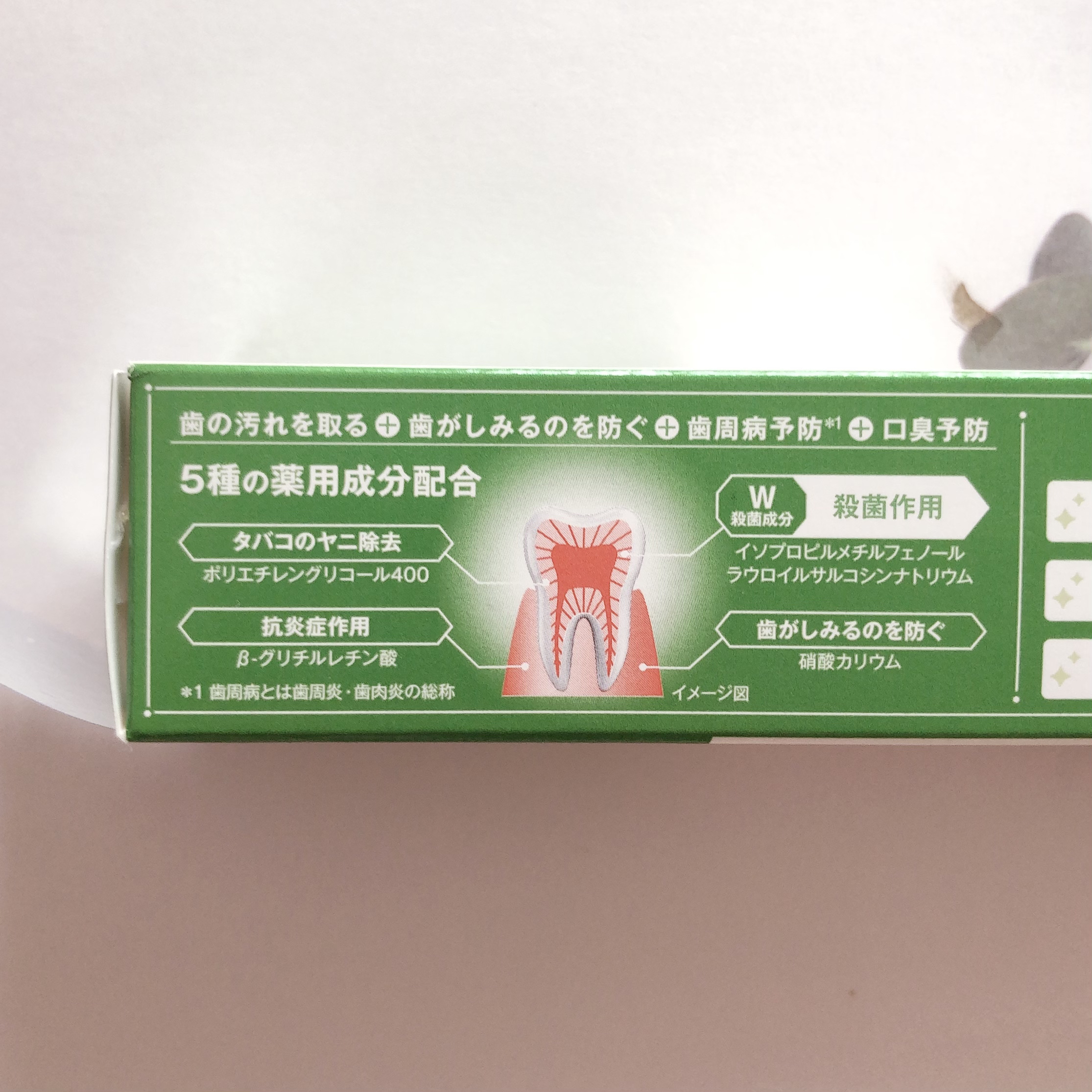 薬用フレッシュペースト【医薬部外品】/歯磨き堂/歯磨き粉を使ったクチコミ（2枚目）
