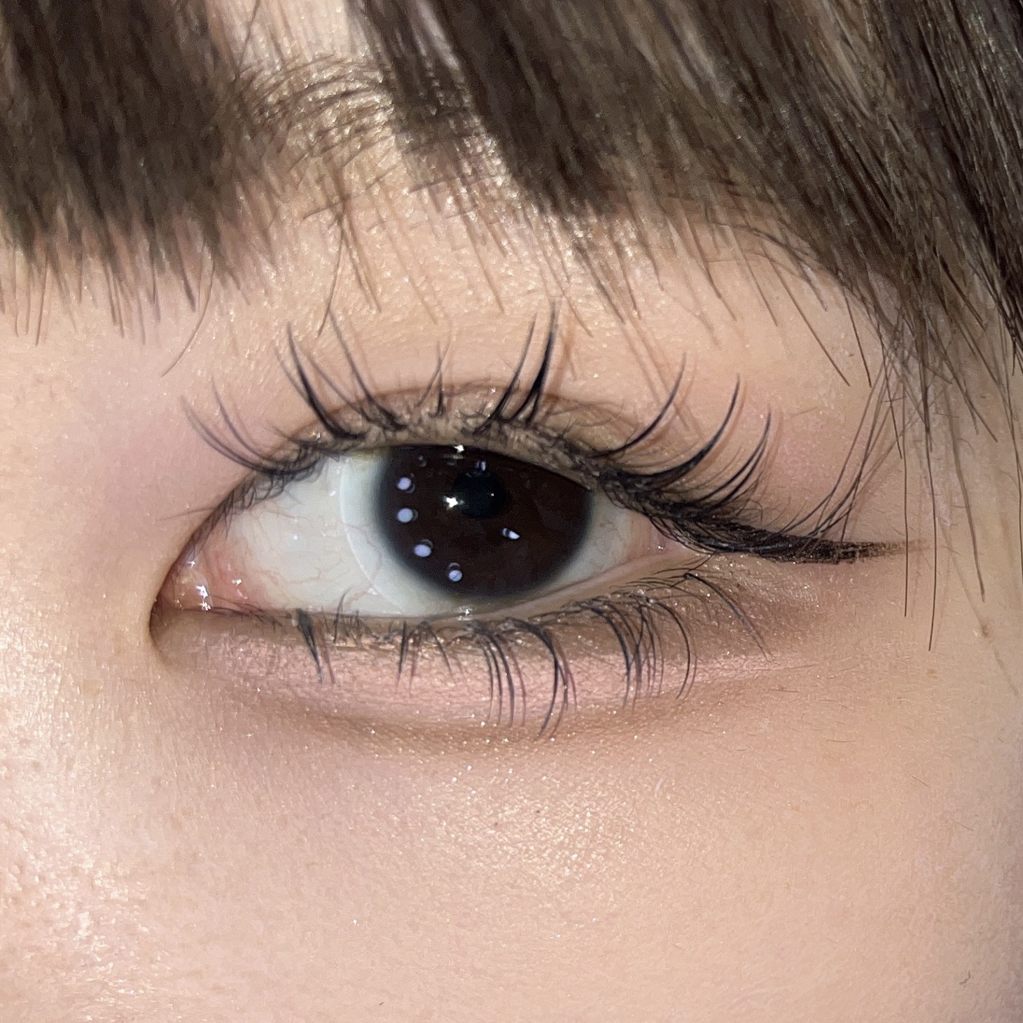 プロ アイ パレット 22 CHERRY LIMEADE/CLIO/アイシャドウパレットを使ったクチコミ（2枚目）