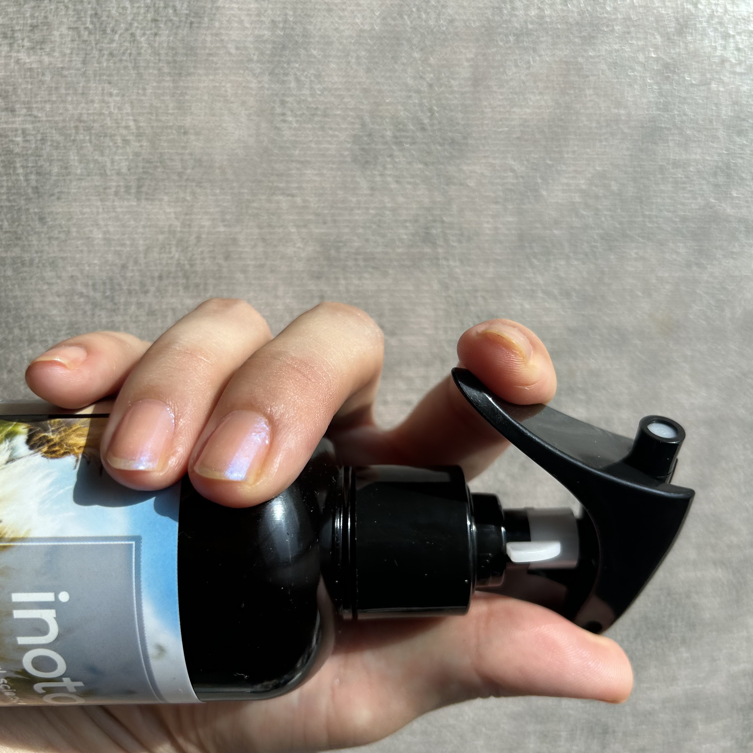 イノート ヘアケアミスト/N./プレスタイリング・寝ぐせ直しを使ったクチコミ（2枚目）