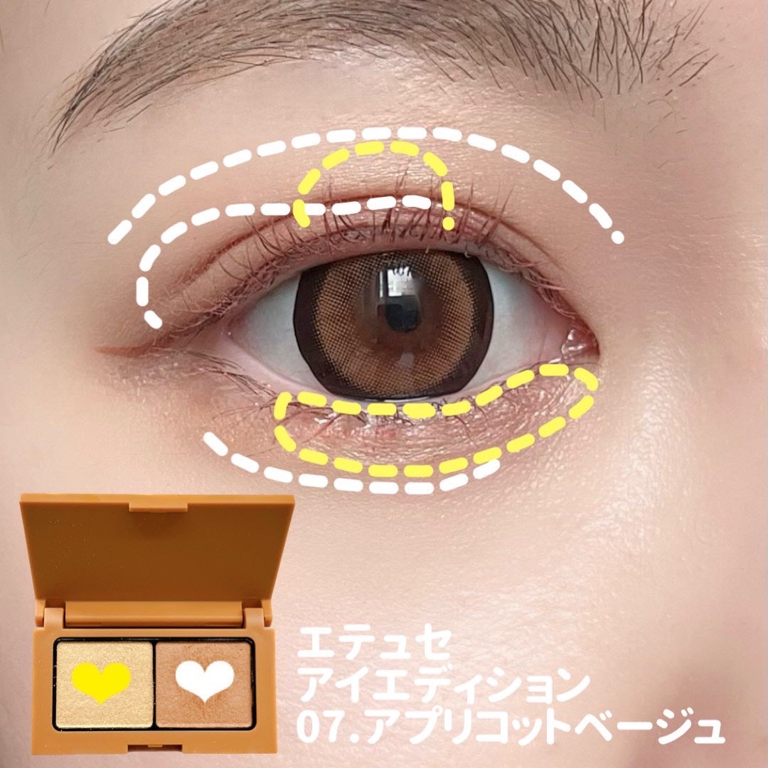 エテュセ アイエディション(カラーパレット)/ettusais/アイシャドウパレットを使ったクチコミ(2枚目)