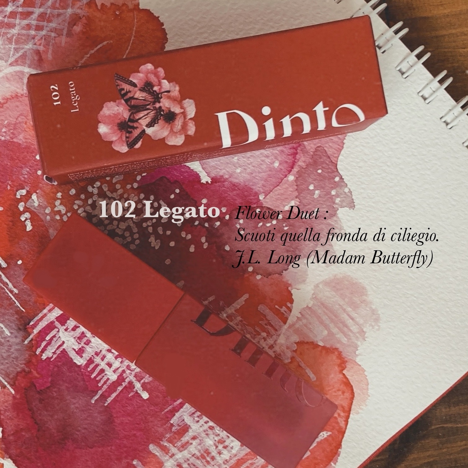 マダムバタフライコレクション ブラーニングリップベール/Dinto/口紅を使ったクチコミ（1枚目）