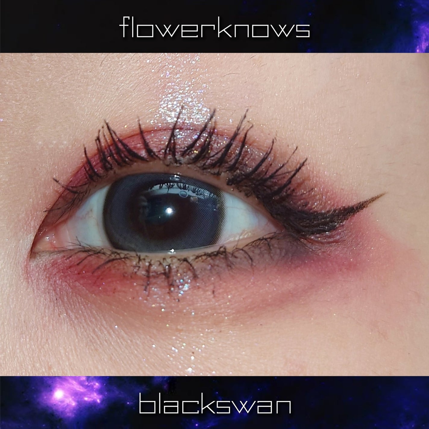 フラワーノーズスワンバレエシリーズ アイシャドウパレット/FlowerKnows/アイシャドウパレットを使ったクチコミ(4枚目)