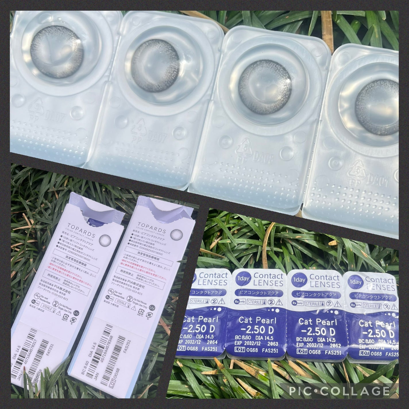 TOPARDS 1day/TOPARDS/ワンデー(1DAY)カラコンを使ったクチコミ(3枚目)