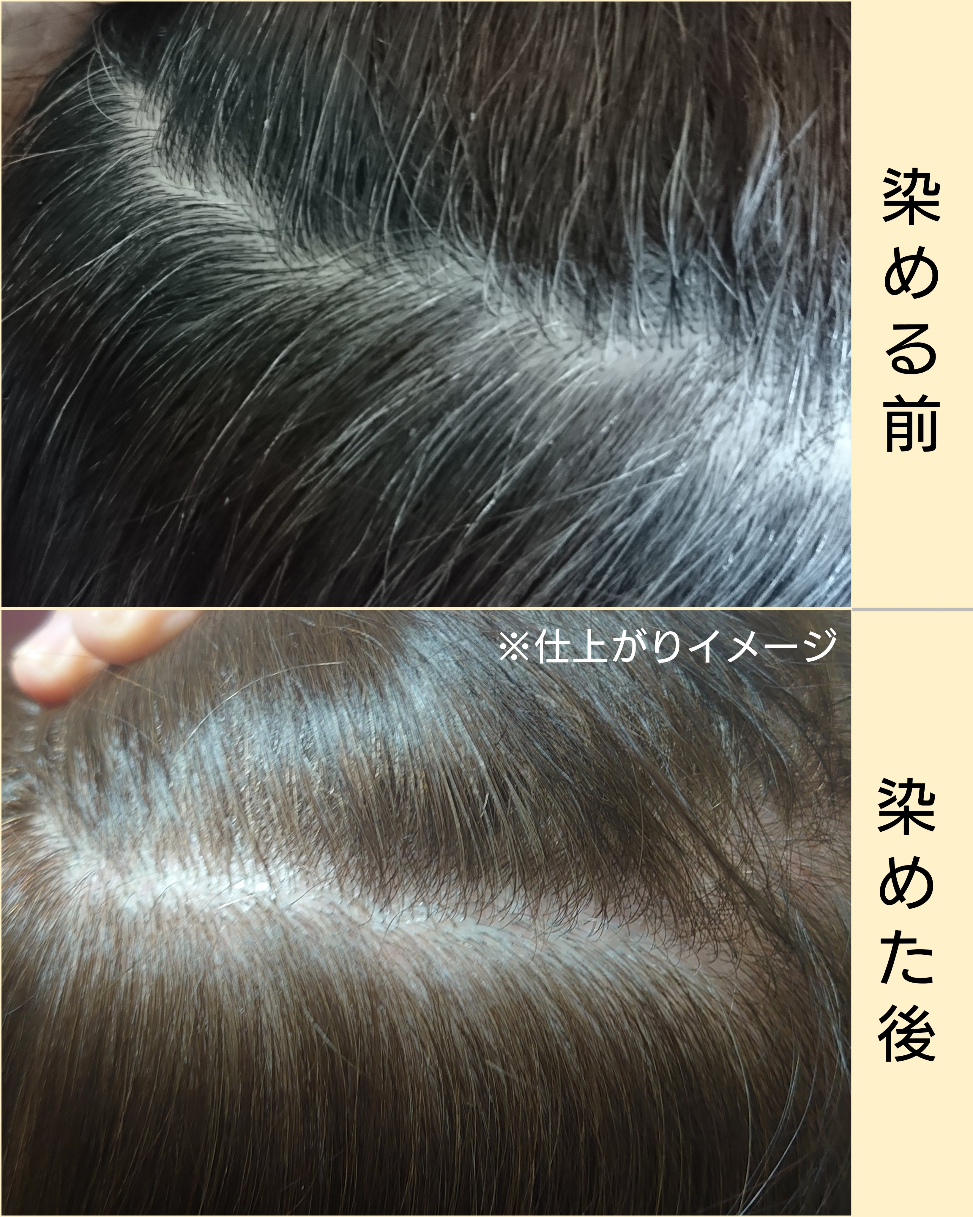 ウエラトーン ツープラスワン クリームタイプ/ウエラ/ヘアカラーを使ったクチコミ（3枚目）