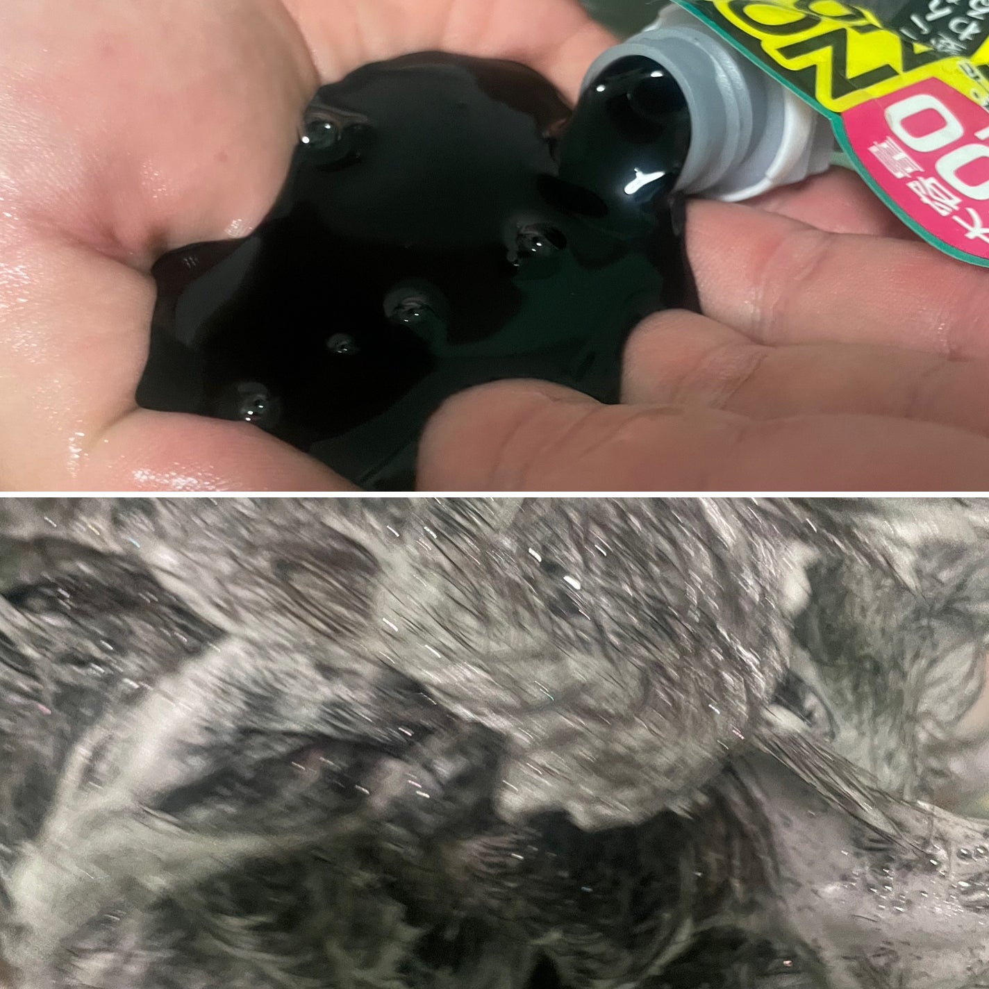 Tottimo! カラーシャンプー/アイケイ/市販シャンプーを使ったクチコミ(2枚目)