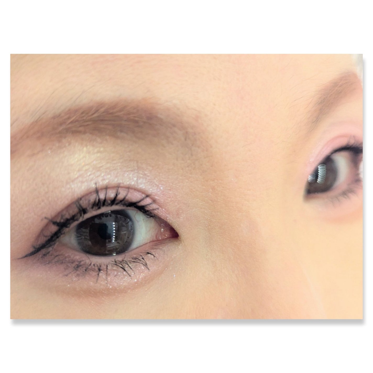 マイキティアイパレット/MilleFée/アイシャドウパレットを使ったクチコミ(2枚目)