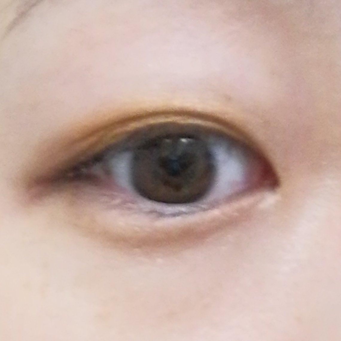 セルヴォーク ヴァティック アイパレット/Celvoke/アイシャドウパレットを使ったクチコミ(6枚目)