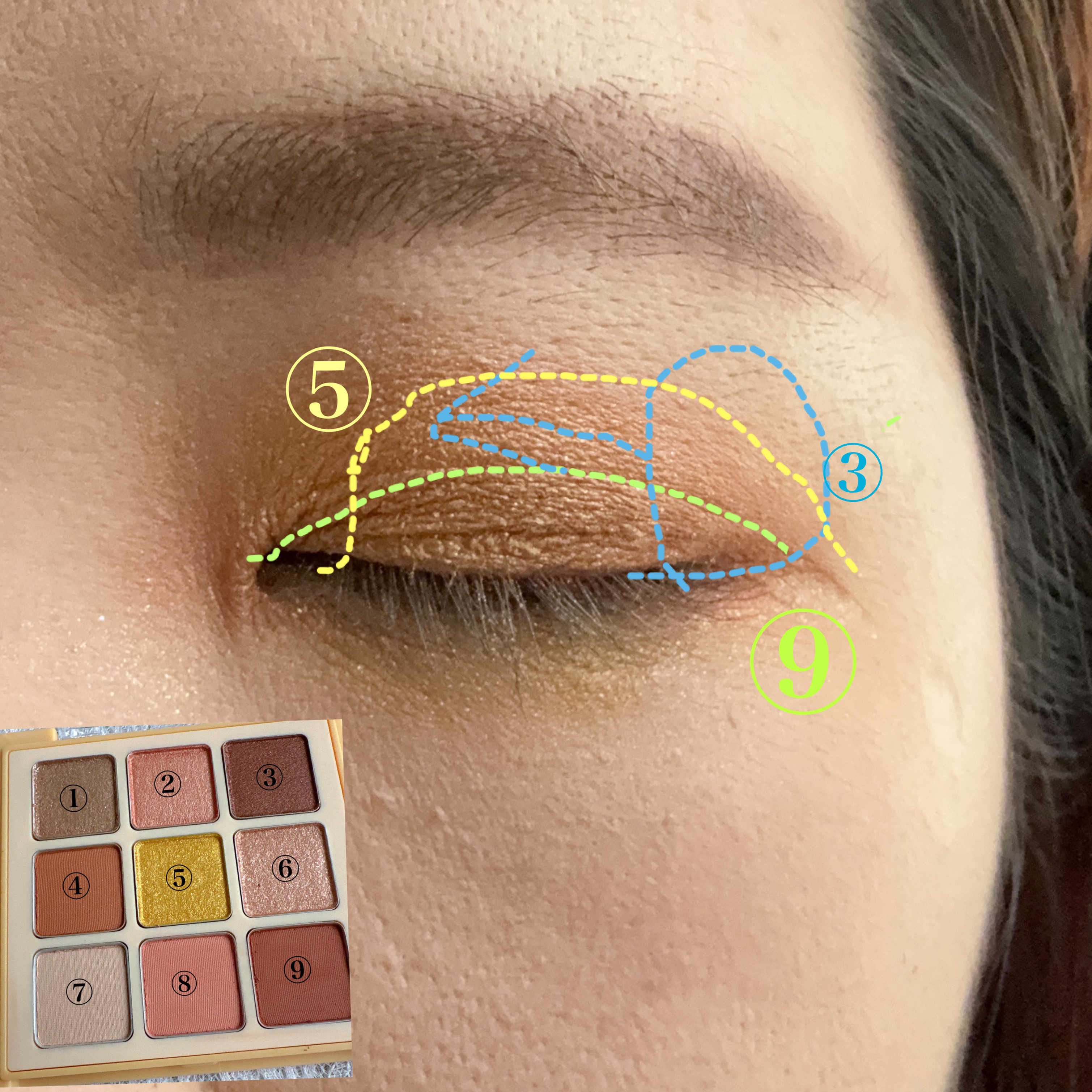 マテリアルカラーパレット/leur charme/アイシャドウパレットを使ったクチコミ（3枚目）