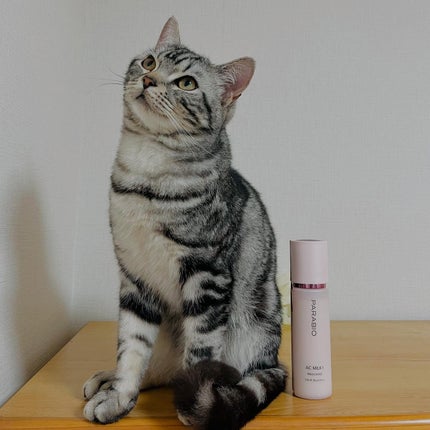 ACミルクI(モイスチュア)/パラビオ/乳液を使ったクチコミ(1枚目)