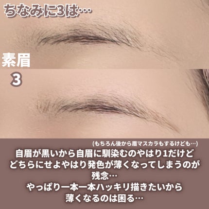 シューティングリキッドアイブロウ/サナ ニューボーン/リキッドアイブロウを使ったクチコミ(9枚目)