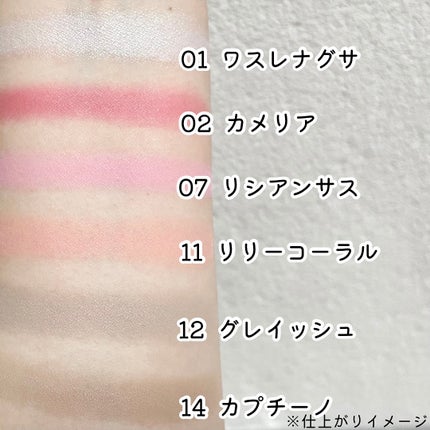 ラストブラッシュ/BBIA/パウダーチークを使ったクチコミ(3枚目)