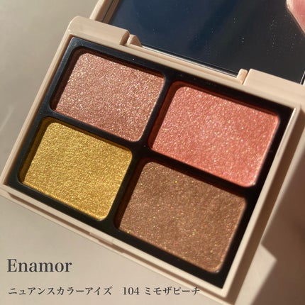 ニュアンスカラーアイズ/Enamor/アイシャドウパレットを使ったクチコミ(1枚目)
