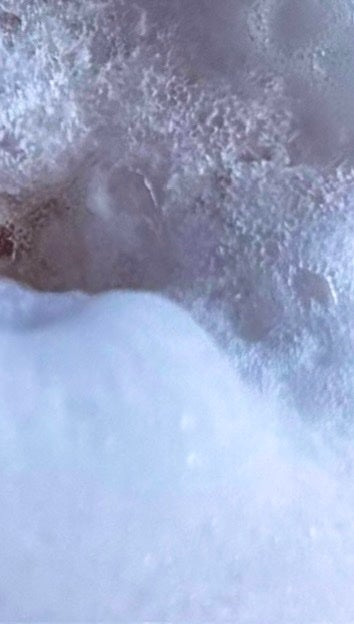 フローズンスプレー ホワイトサボンの香り/スキューズミー/デオドラント・制汗剤を使ったクチコミ(2枚目)