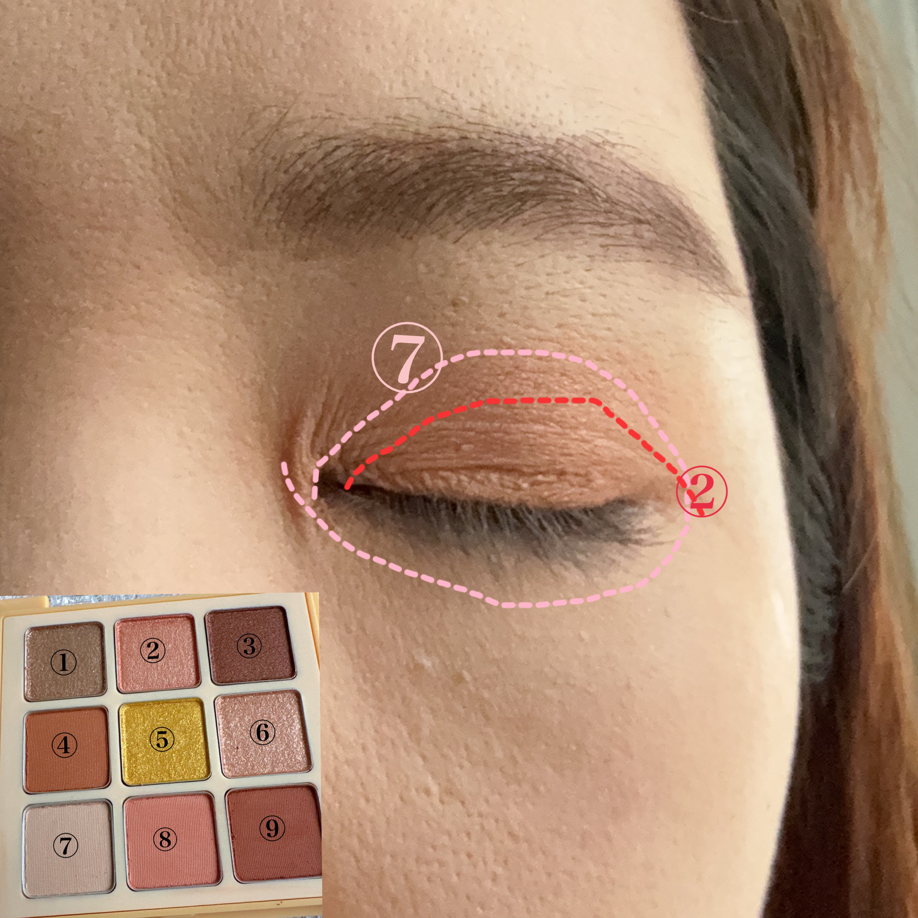 マテリアルカラーパレット/leur charme/アイシャドウパレットを使ったクチコミ（2枚目）