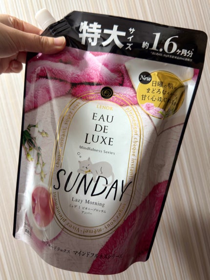 レノア オードリュクス マインドフルネスシリーズ サンデー/レノア/柔軟剤を使ったクチコミ(1枚目)