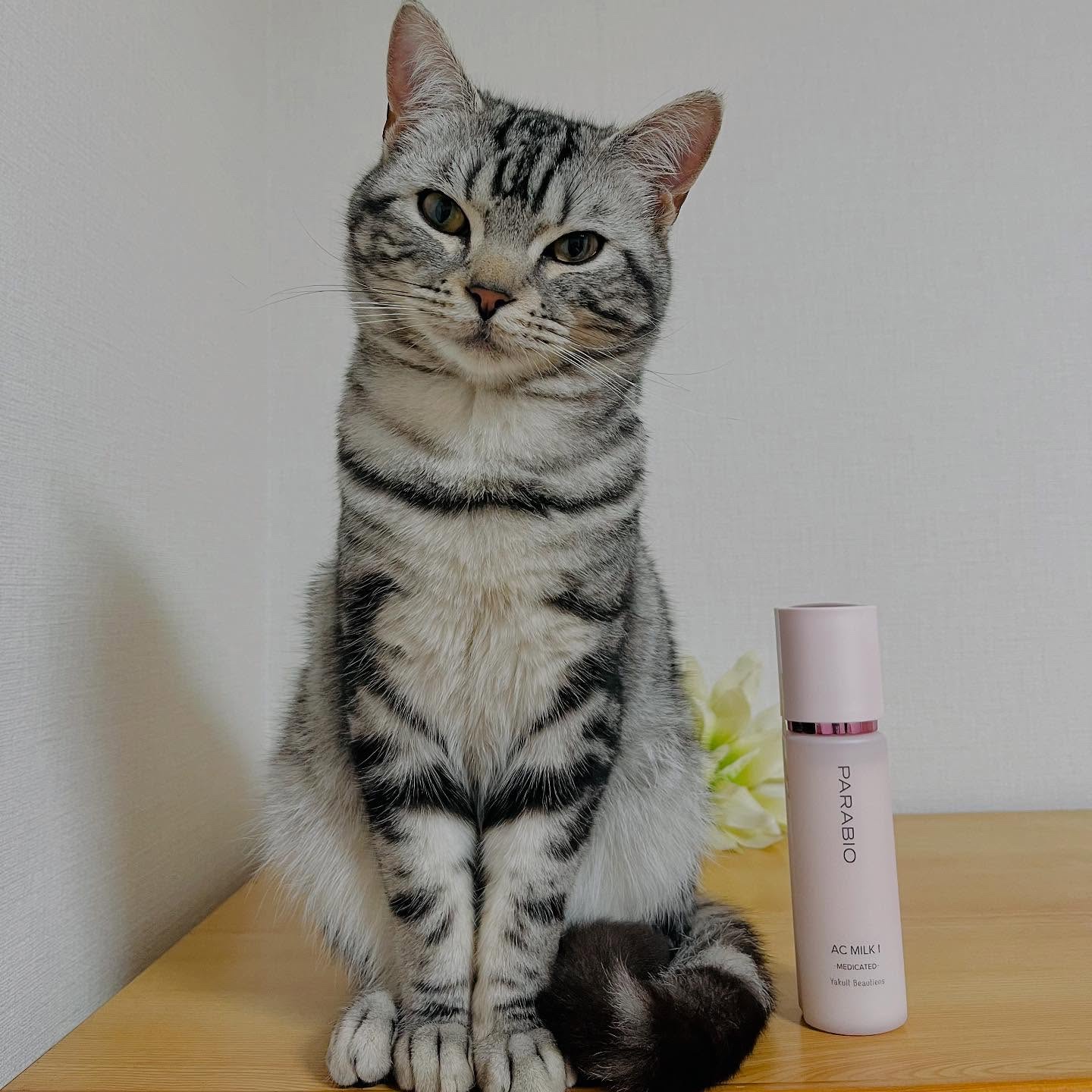 ACミルクI(モイスチュア)/パラビオ/乳液を使ったクチコミ（3枚目）