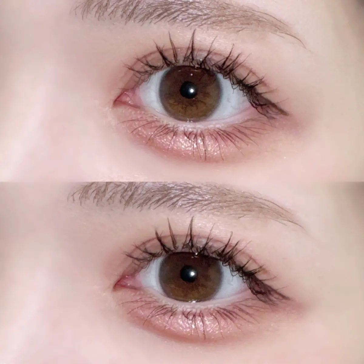 ペリペラ インク ポケット シャドウ パレット/PERIPERA/アイシャドウパレットを使ったクチコミ（1枚目）