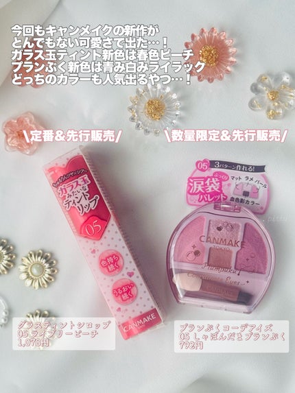 プランぷくコーデアイズ/キャンメイク/パウダーアイシャドウを使ったクチコミ(2枚目)