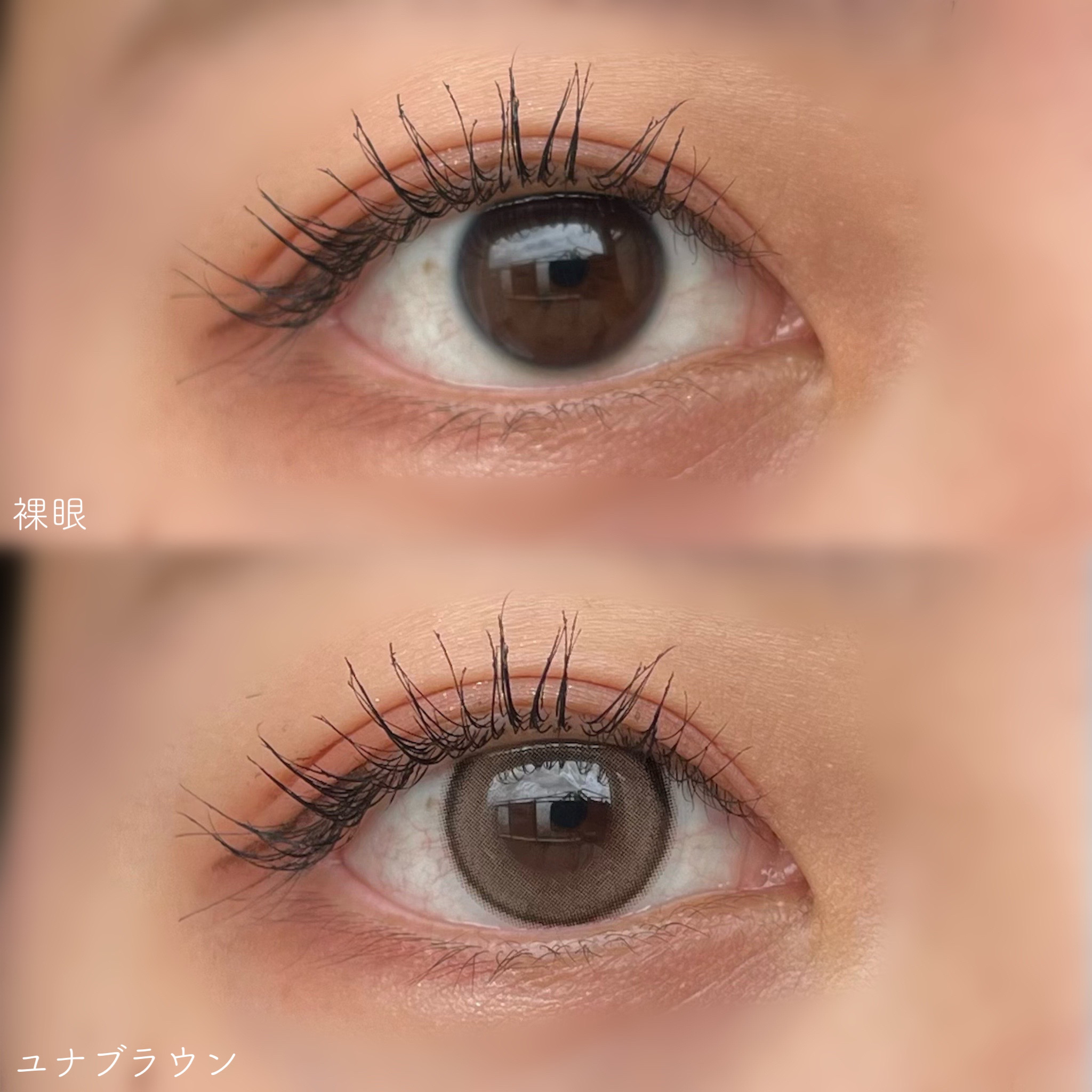 Mechu Mechu/Mechu Mechu /ワンデー（１DAY）カラコンを使ったクチコミ（3枚目）