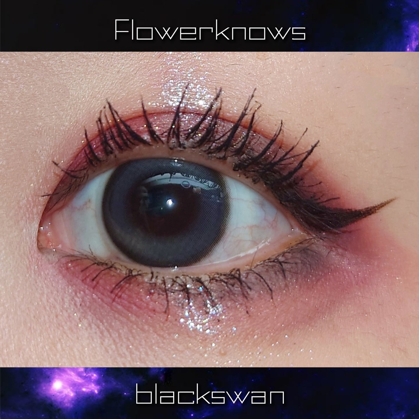 フラワーノーズスワンバレエシリーズ アイシャドウパレット/FlowerKnows/アイシャドウパレットを使ったクチコミ(3枚目)