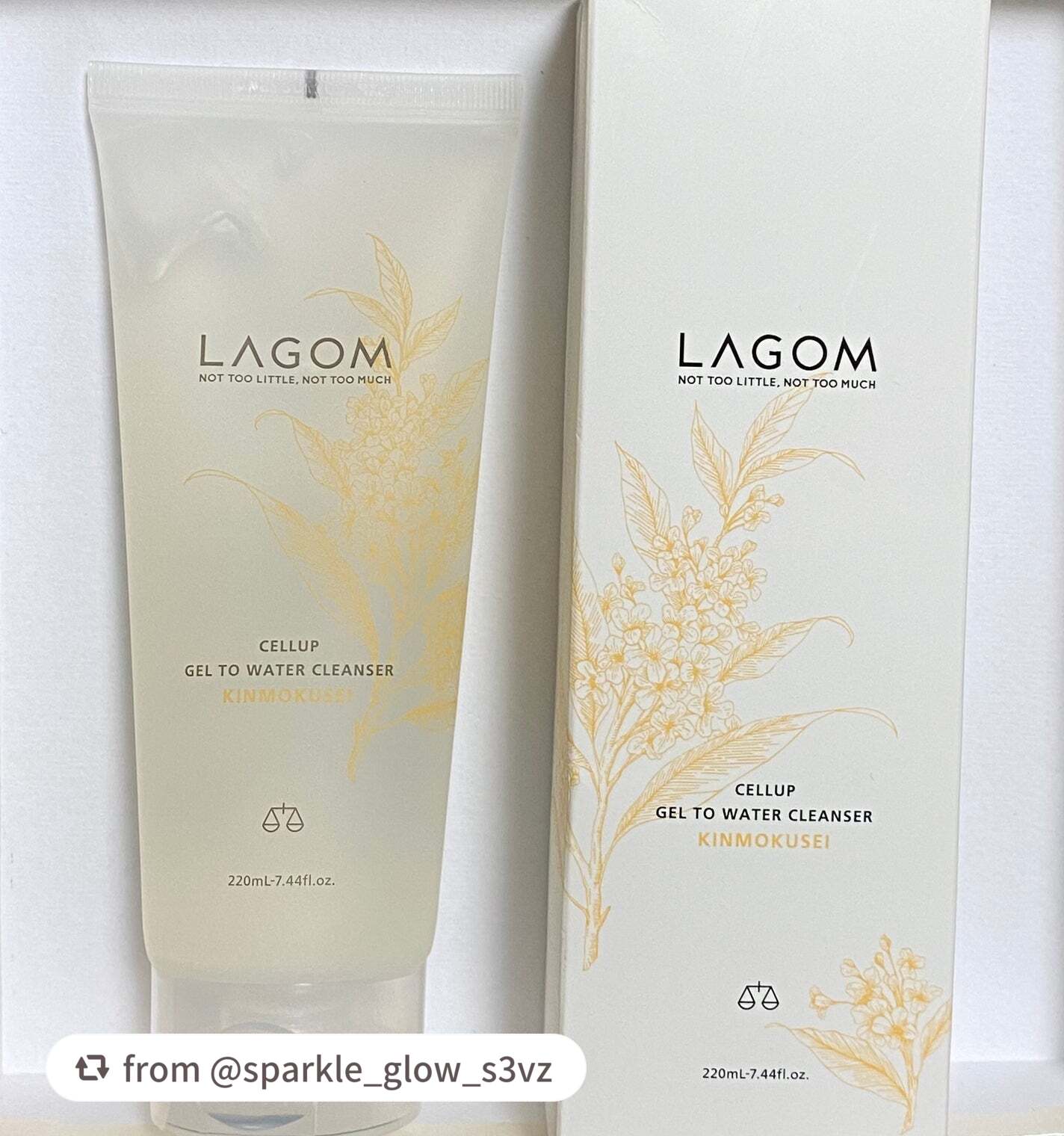 ジェルトゥウォーター クレンザー(KI)(朝洗顔料)/LAGOM /その他洗顔料を使ったクチコミ(1枚目)