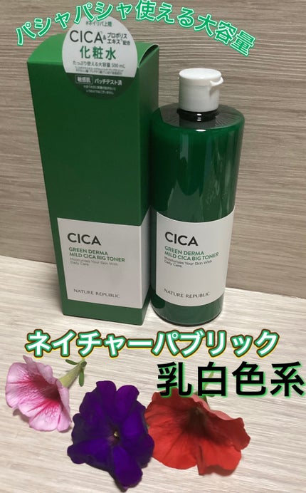 グリーン ダーマCICAビックトナー/ネイチャーリパブリック/化粧水を使ったクチコミ(1枚目)