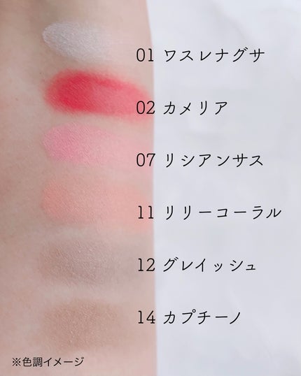 ラストブラッシュ/BBIA/パウダーチークを使ったクチコミ(5枚目)