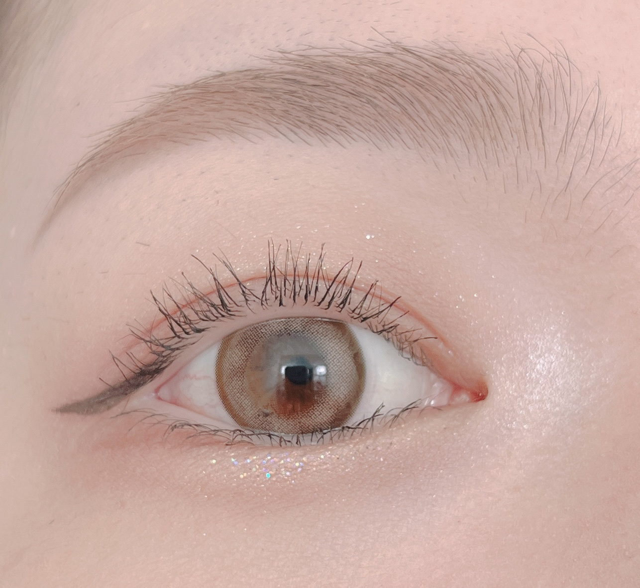 エバーカラーワンデーミリモア よくばりシロップ/エバーカラー/ワンデー（１DAY）カラコンを使ったクチコミ（1枚目）