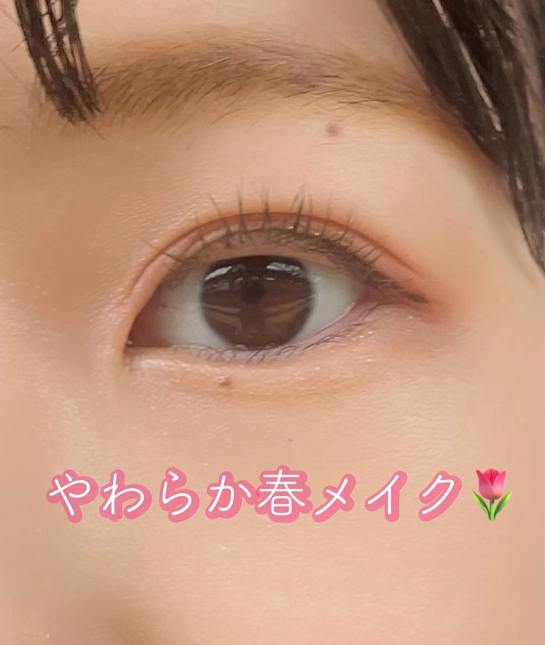 シルキースフレアイズ(マットタイプ)/キャンメイク/アイシャドウパレットを使ったクチコミ(1枚目)