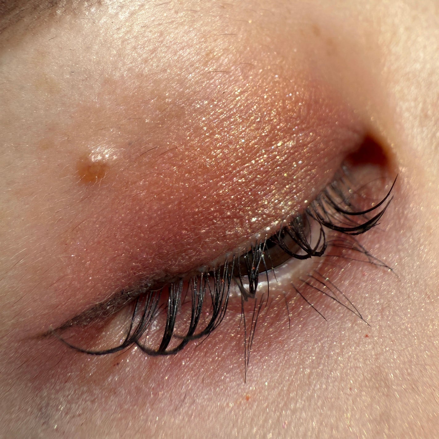 白夜と極夜シリーズシングルアイシャドウ/FlowerKnows/単色アイシャドウを使ったクチコミ(3枚目)