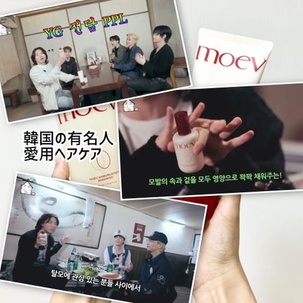 モエブ アヌカチン シャンプー/トリートメント/moev/市販シャンプーを使ったクチコミ(2枚目)