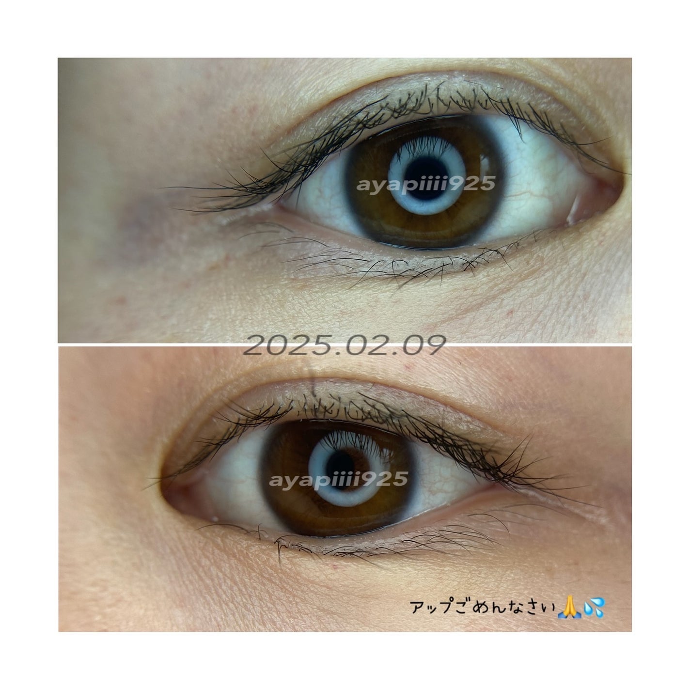 Lash drip アイラッシュセラム/Lash drip/まつげ美容液を使ったクチコミ(6枚目)