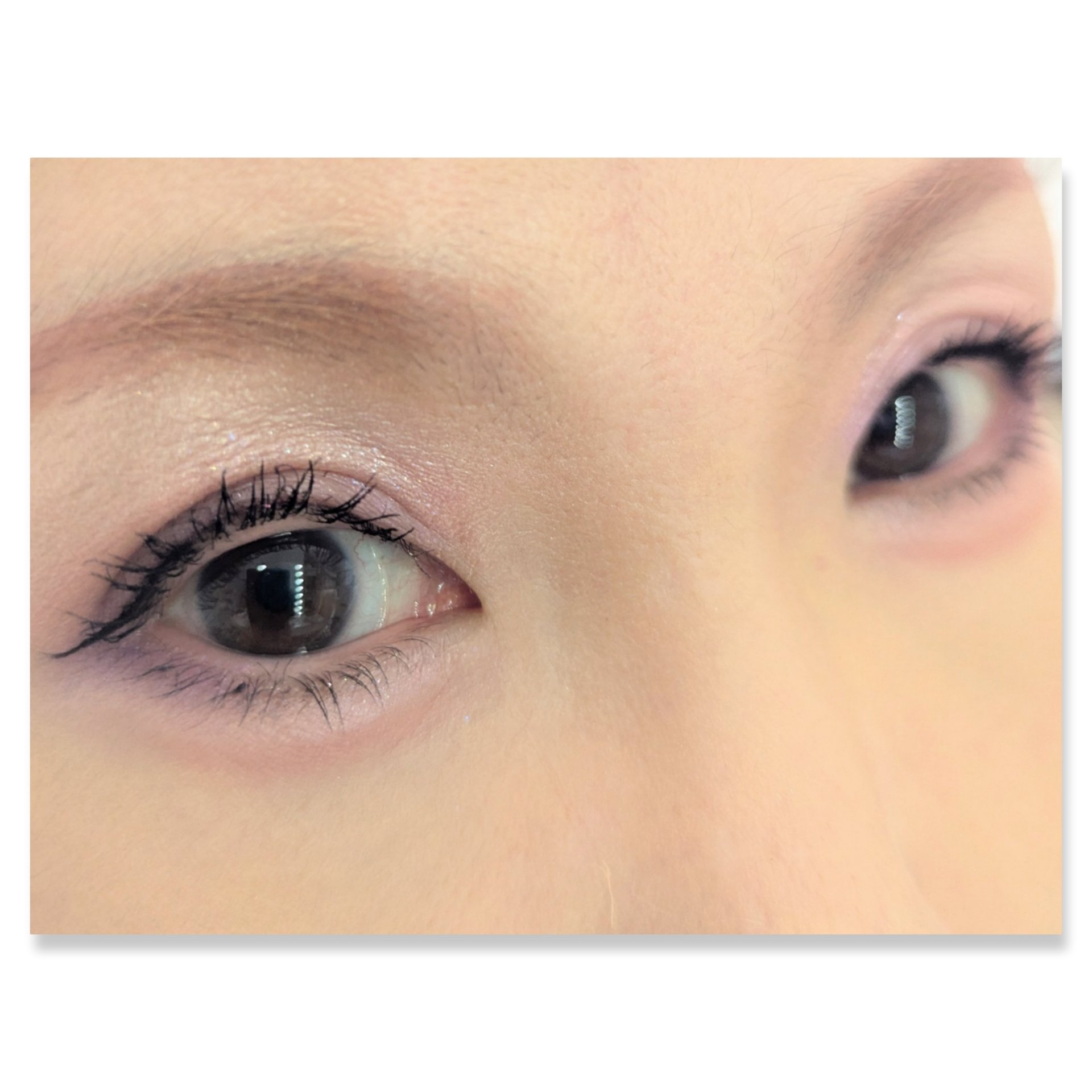 シルキースフレアイズ/キャンメイク/アイシャドウパレットを使ったクチコミ（2枚目）