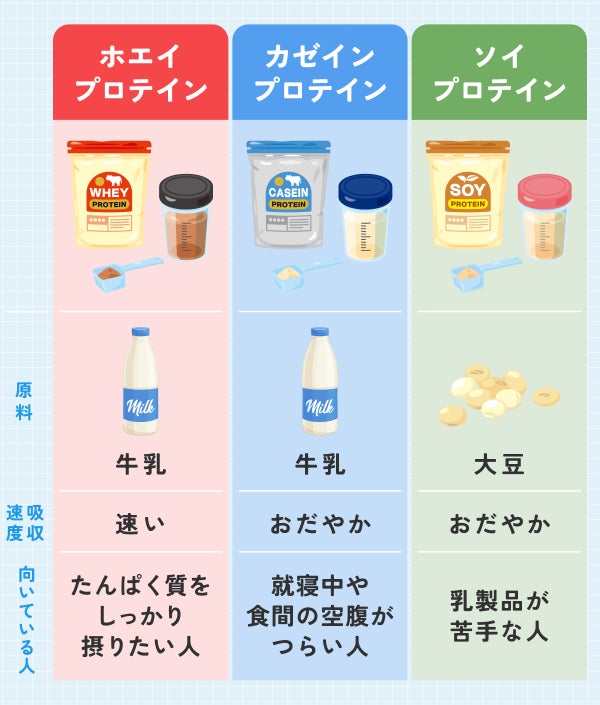ホエイプロテインは牛乳が原料で吸収速度が速い。タンパク質をしっかり摂りたい人に向いている。カゼインプロテインは牛乳が原料で吸収速度がおだやか。就寝中や食間の空腹がつらい人に向いている。ソイプロテインは大豆が原料で吸収速度がおだやか。乳製品が苦手な人に向いている。