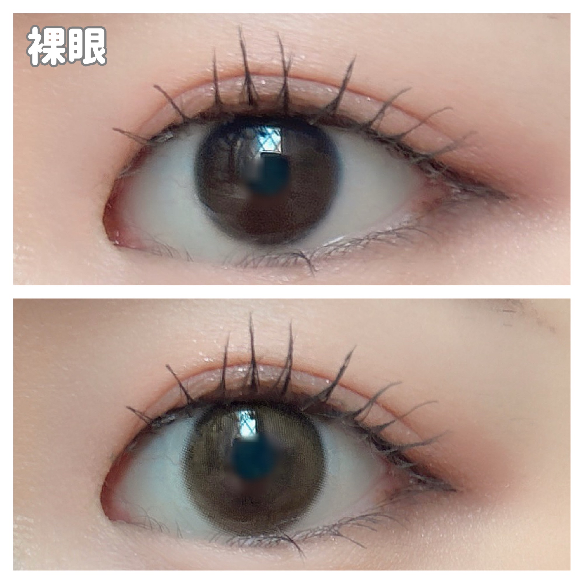 feliamo 1day/feliamo/ワンデー（１DAY）カラコンを使ったクチコミ（3枚目）