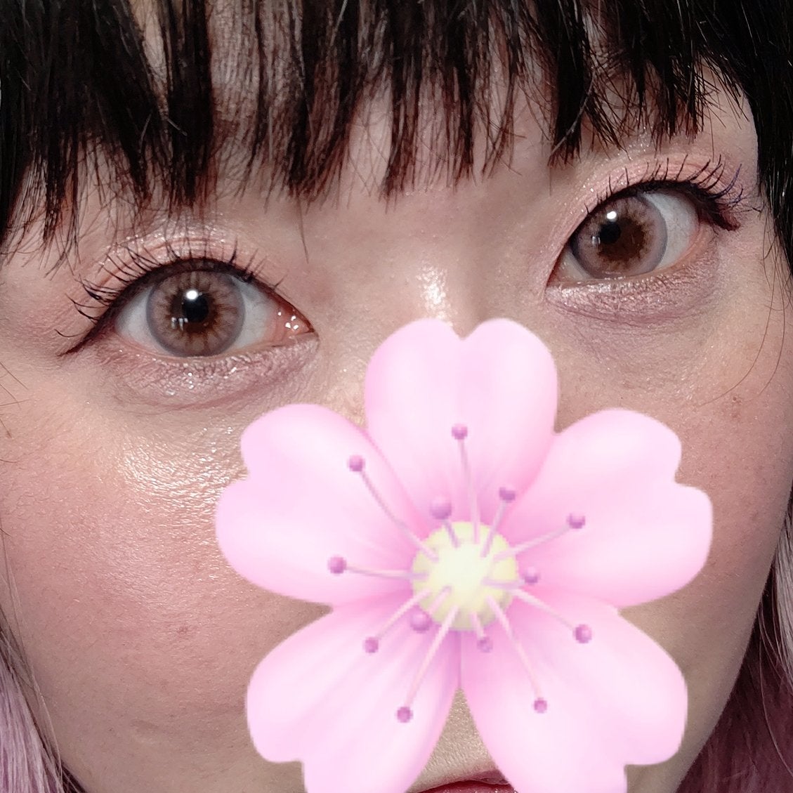 STEP BASIC EYESHADOW/Ameli/単色アイシャドウを使ったクチコミ(2枚目)