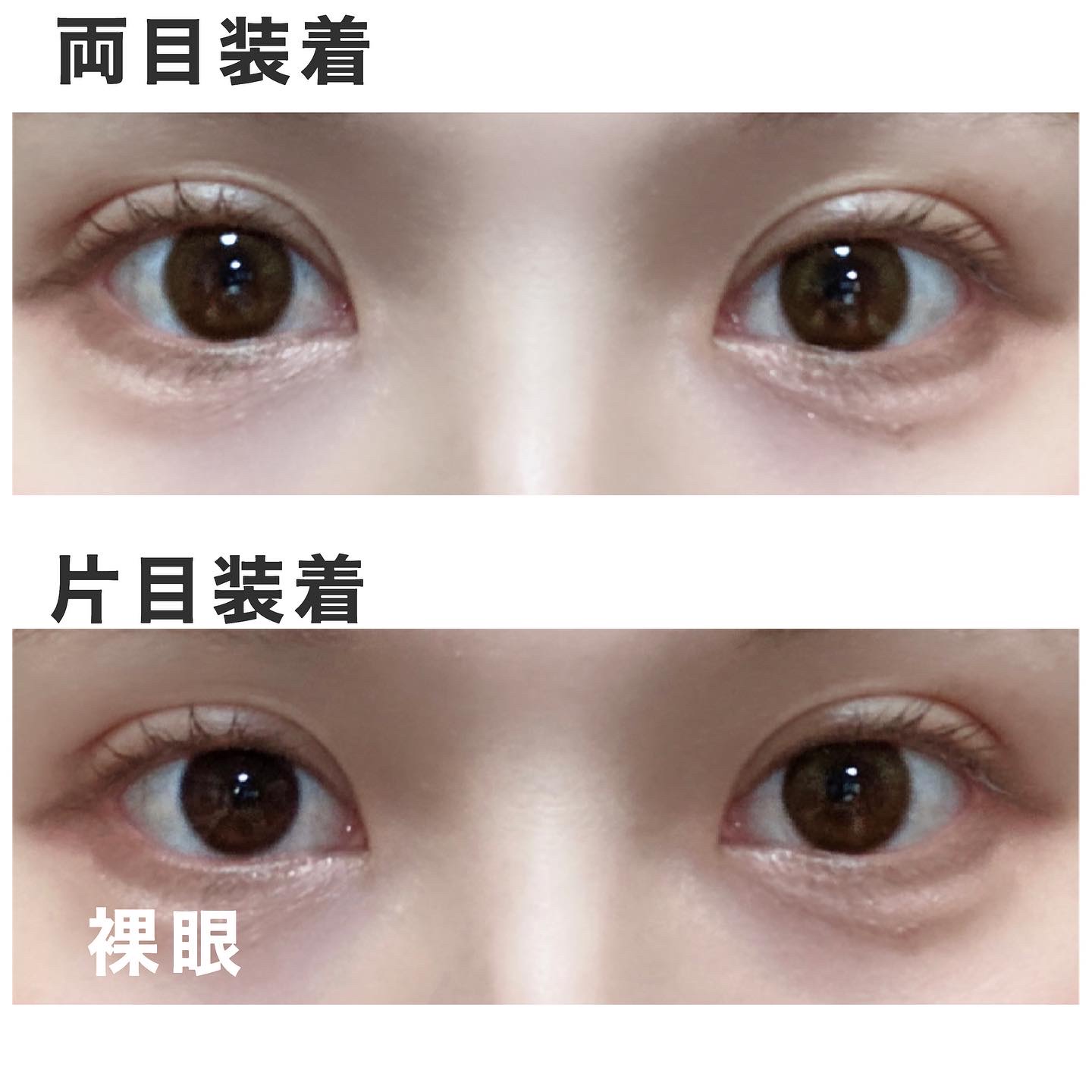 melotte 1day/melotte/ワンデー（１DAY）カラコンを使ったクチコミ（3枚目）