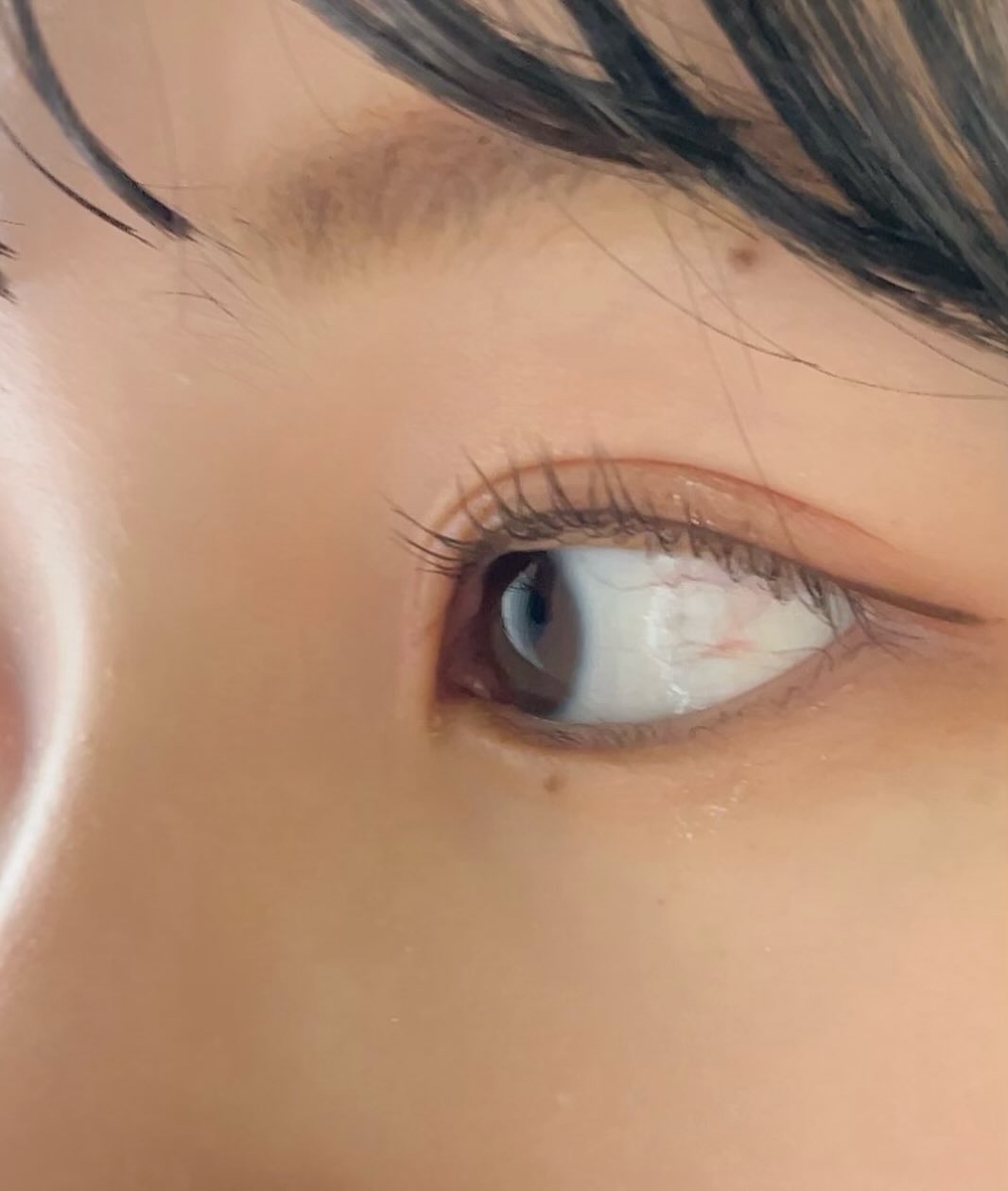 シルキースフレアイズ（マットタイプ）/キャンメイク/アイシャドウパレットを使ったクチコミ（2枚目）