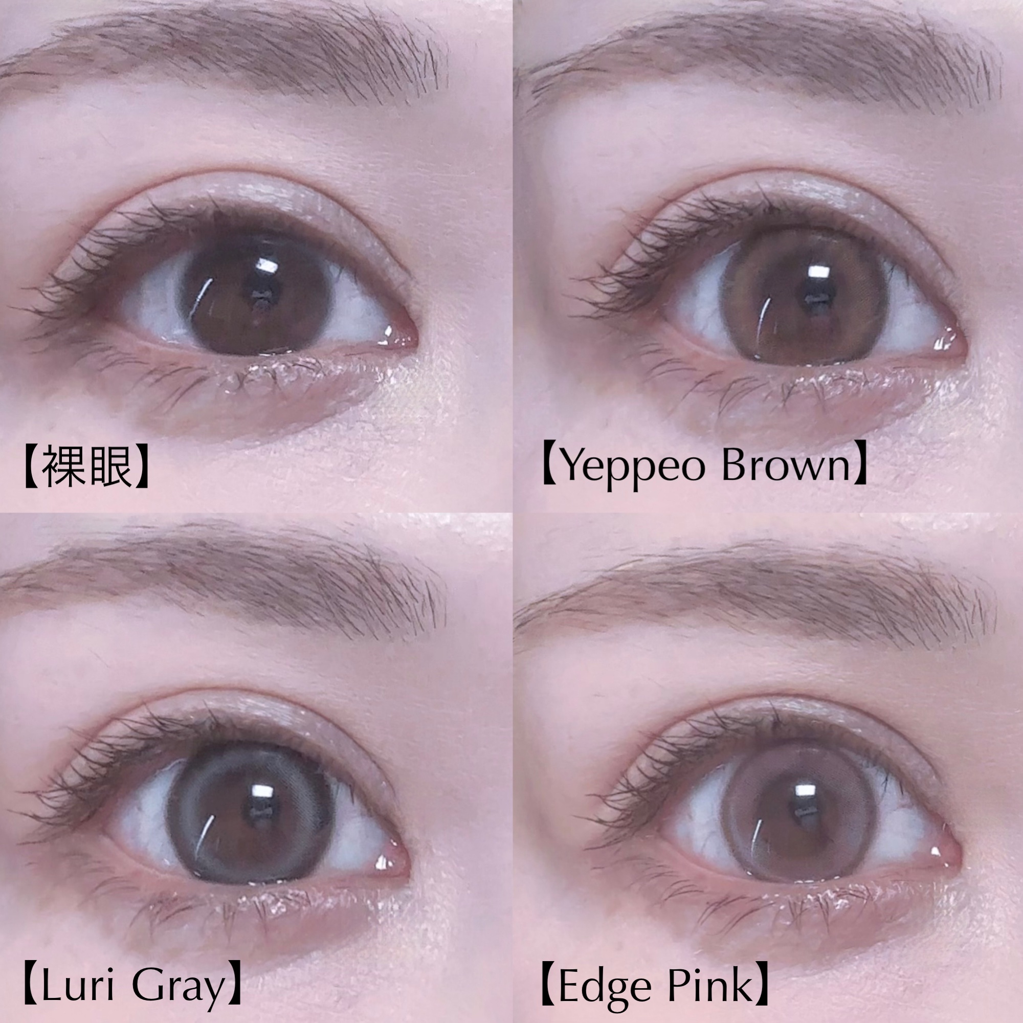 ANGÉLIQUE 1day/ANGÉLIQUE/ワンデー（１DAY）カラコンを使ったクチコミ（3枚目）