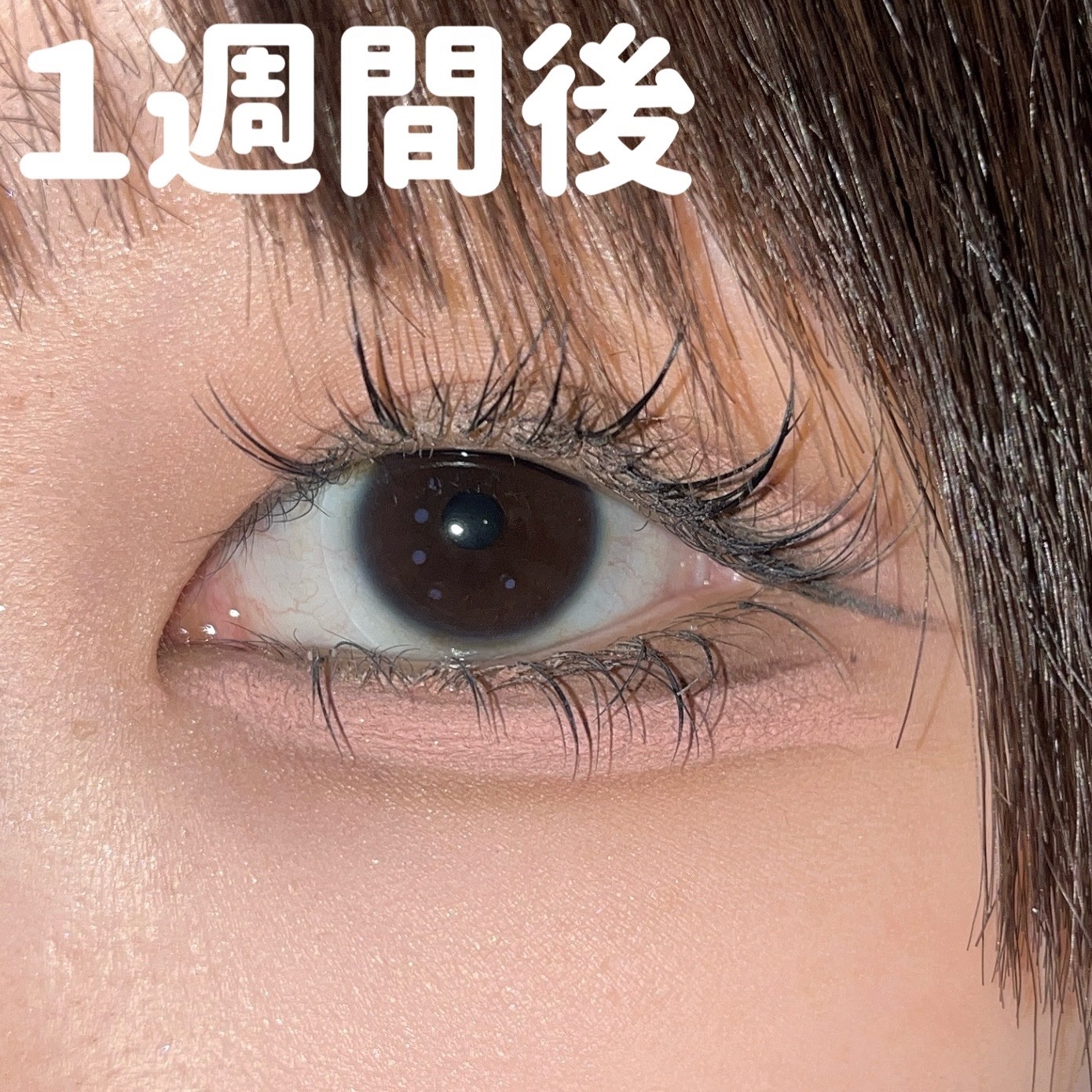 まつ毛＆エクステコート美容液/コジット/まつげ美容液を使ったクチコミ（3枚目）